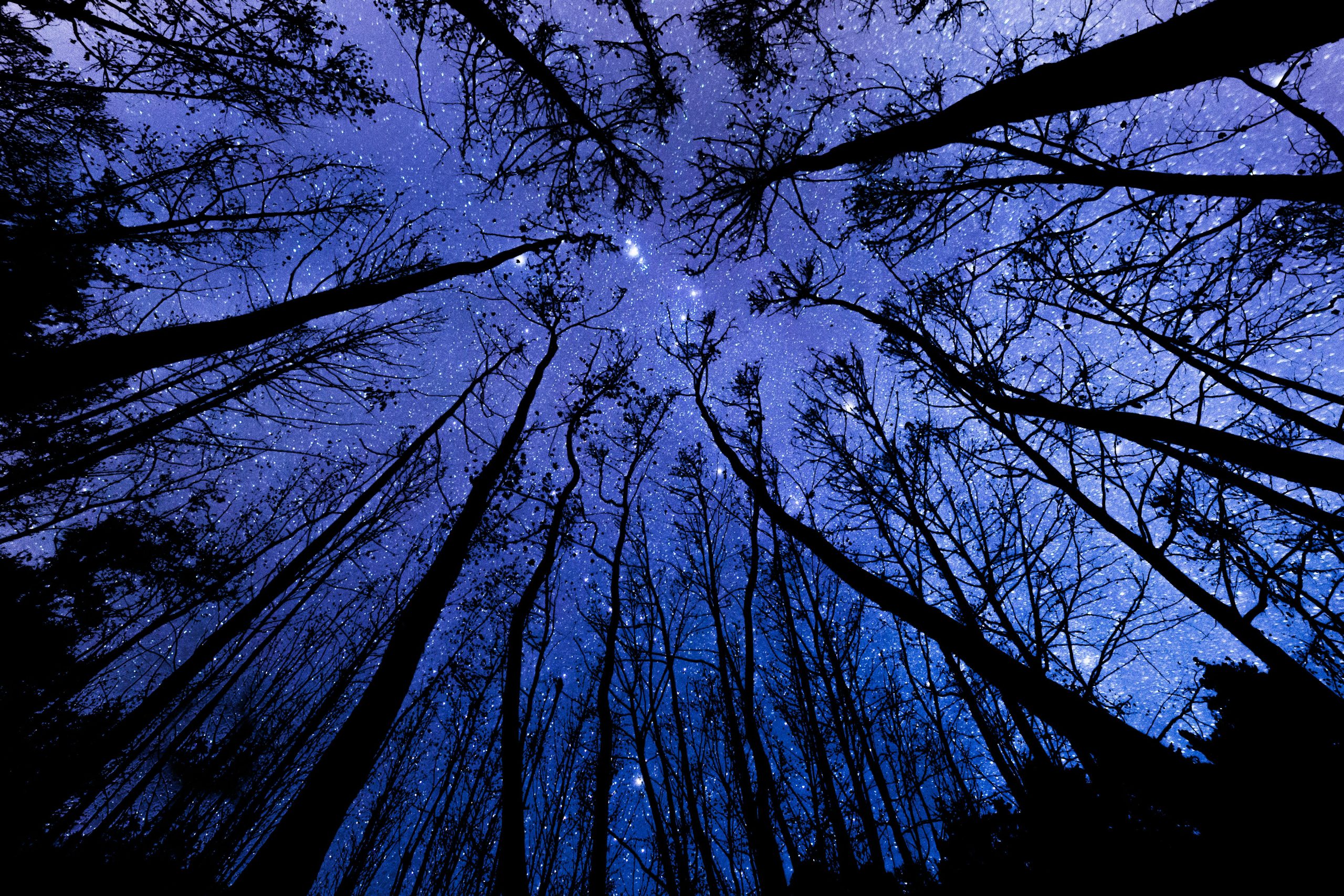 Beautiful starry sky